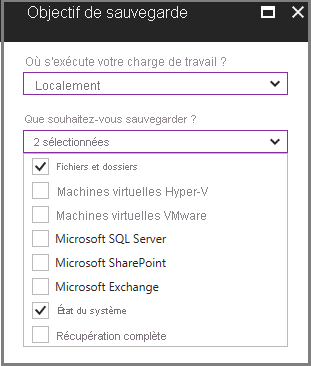 Capture d’écran montrant le menu Objectif de sauvegarde.