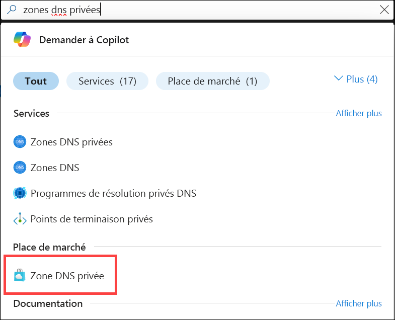 Capture d’écran de la recherche de zones DNS privées.