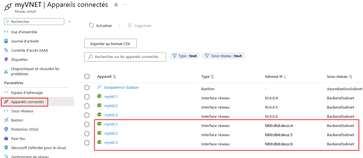 Capture d’écran des paramètres des appareils connectés, affichant des adresses IPv4 et IPv6 sur les interfaces réseau.