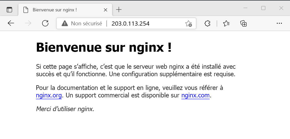 Capture d’écran du test du serveur web NGINX.