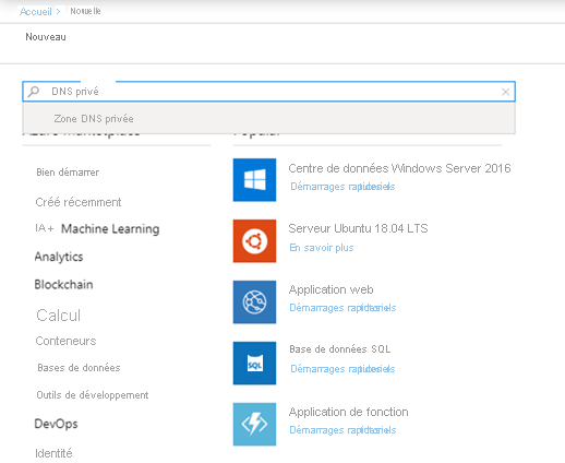 Montre la recherche de « zone DNS privée » dans la page des nouvelles ressources du portail Azure