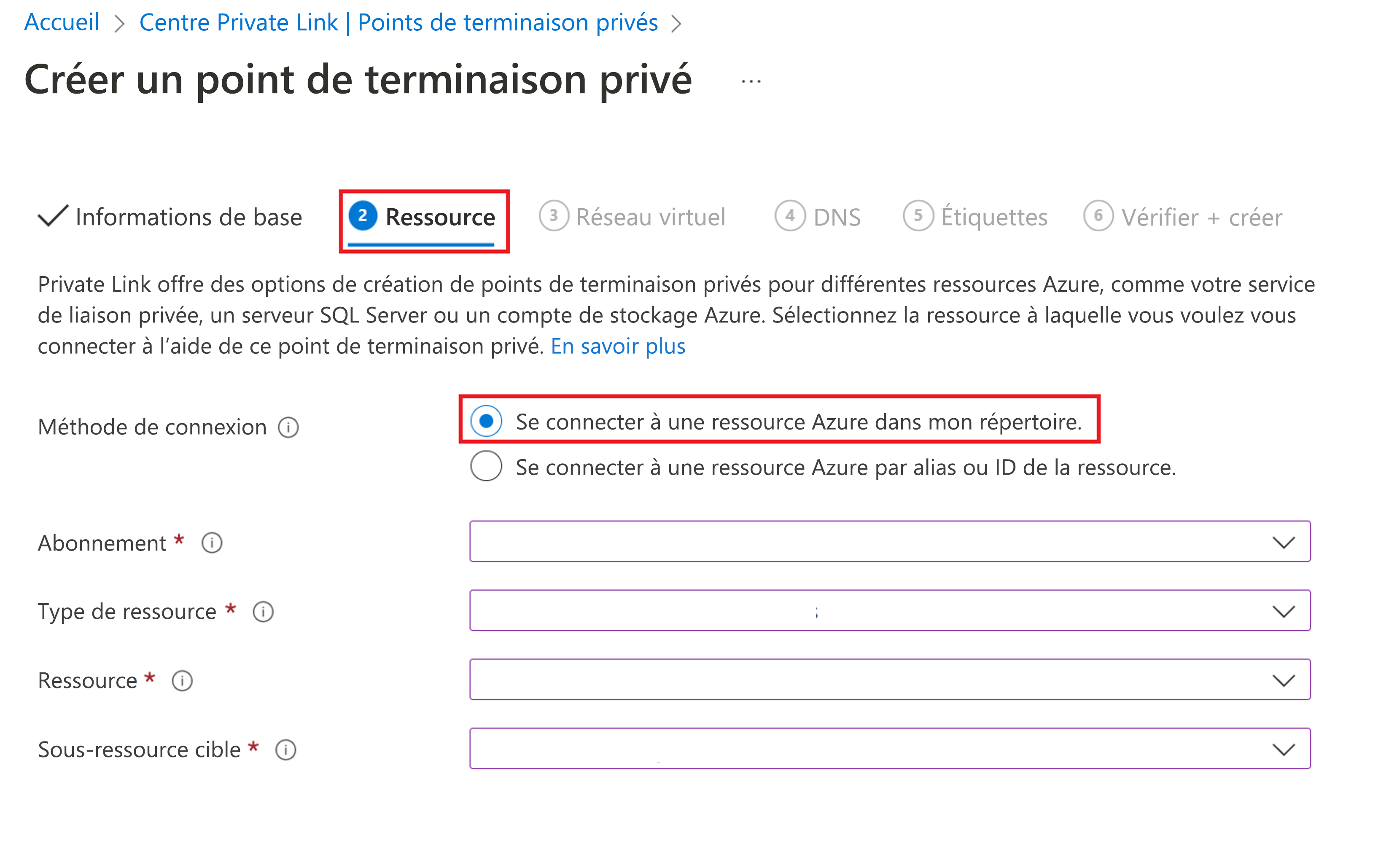 Capture d’écran représentant l’onglet Ressource dans le cadre de la liaison à un point de terminaison privé.