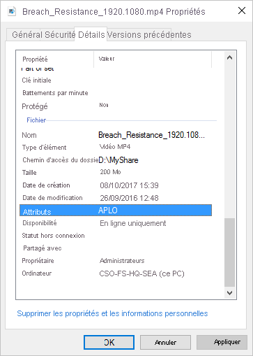 Boîte de dialogue Propriétés d’un fichier dans laquelle l’onglet Détails est sélectionné