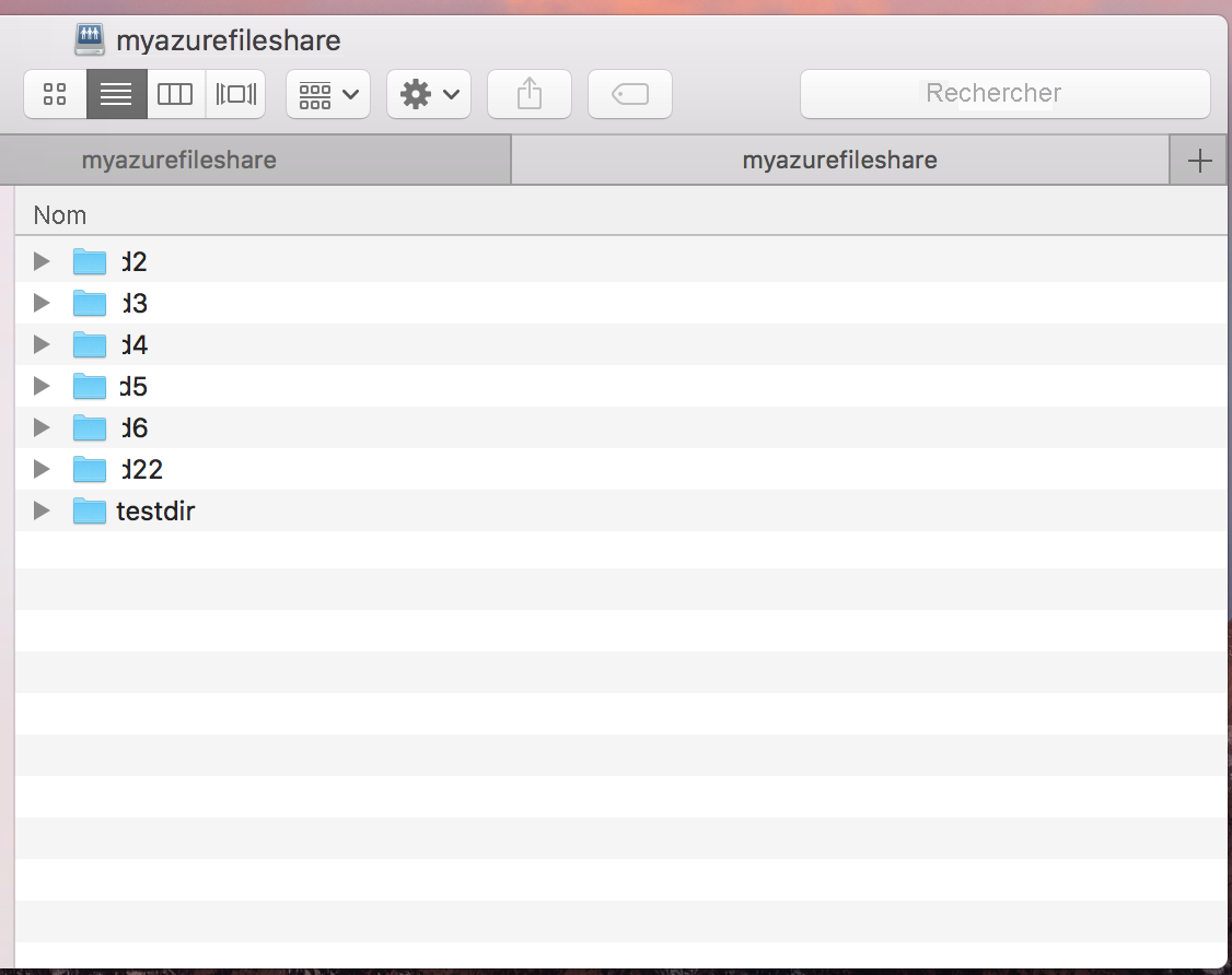 Une capture instantanée d’un partage de fichiers Azure monté