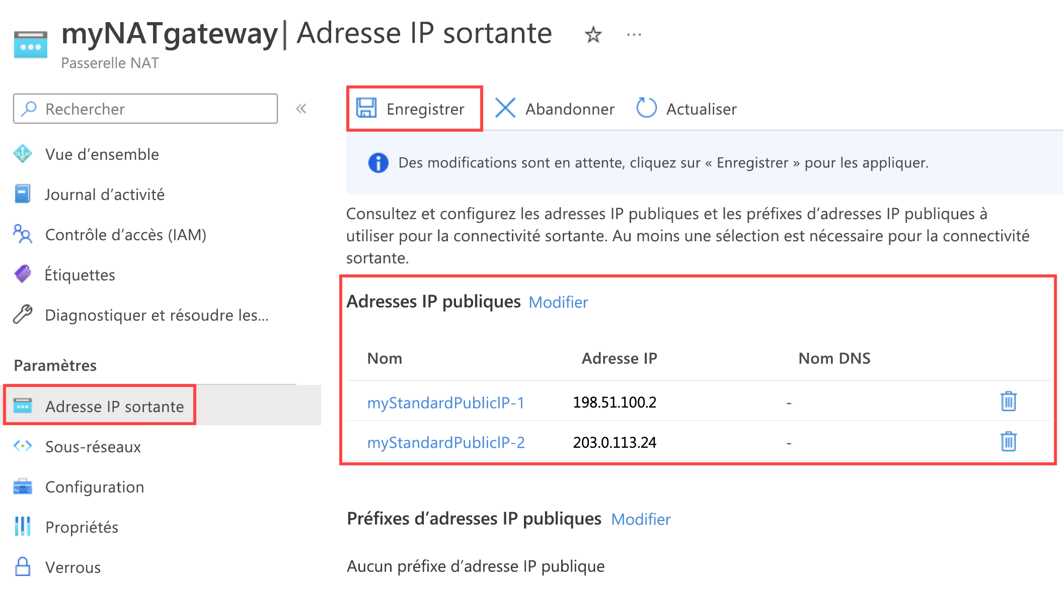 Capture d’écran de la page configuration IP sortante de la passerelle NAT montrant l’adresse IP publique ajoutée.