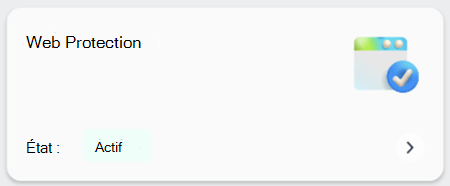Capture d’écran d’une vignette montrant si la protection web est activée sur un appareil.