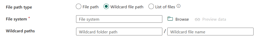 Screenshot showing wildcard file path.