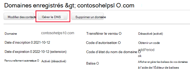 Sélectionnez Gérer DNS dans la liste déroulante.