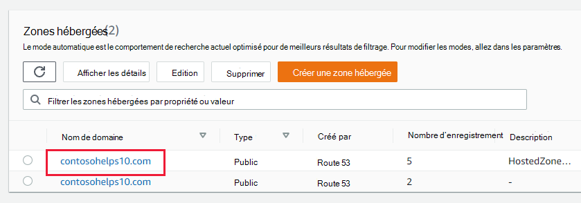 Capture d’écran des zones hébergées dans lesquelles vous sélectionnez le nom de domaine pour l’enregistrement TXT de vérification du domaine.