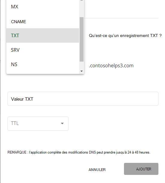 Sélectionnez TXT dans la liste déroulante Type pour l’enregistrement TXT de vérification du domaine.