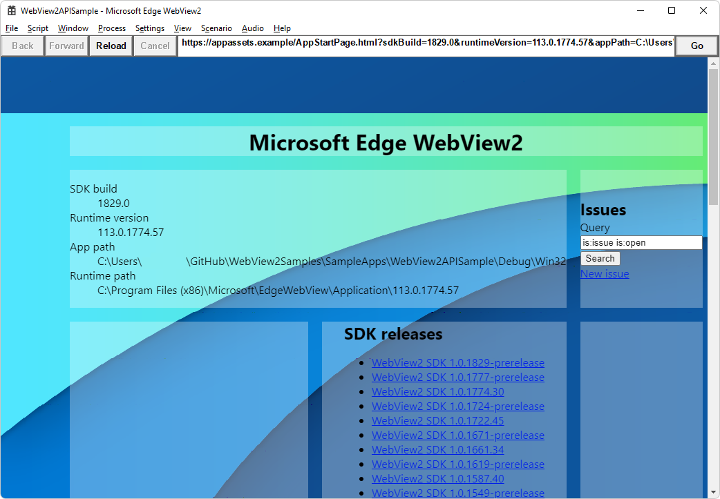 Fenêtre d’application WebView2APISample montrant la version du Kit de développement logiciel (SDK) WebView2 et la version et le chemin d’accès du runtime WebView2