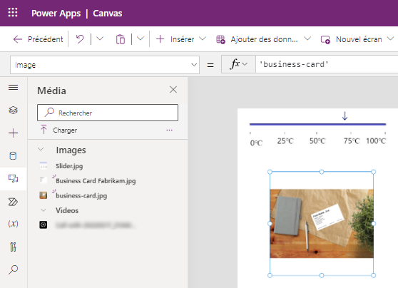 Exemple de Power Apps Studio avec une bibliothèque et multimédia ajouté.