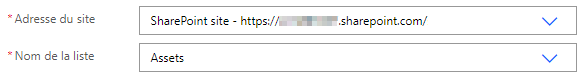 Capture d’écran montrant les champs Adresse du site et Nom de la liste.