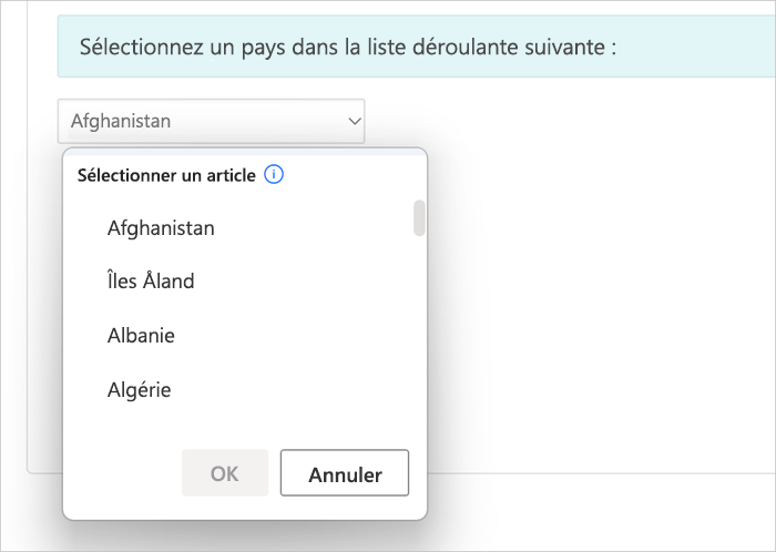 Capture d’écran d’un écran personnalisé pour une liste déroulante.