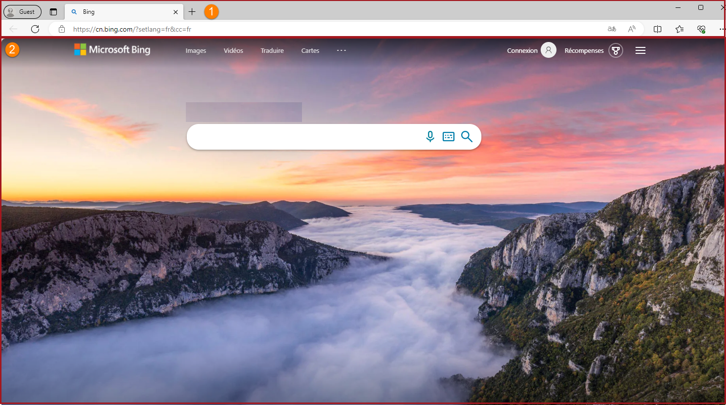 Capture d’écran d’une fenêtre Microsoft Edge mettant en surbrillance les zones « application » et « page web » du navigateur.