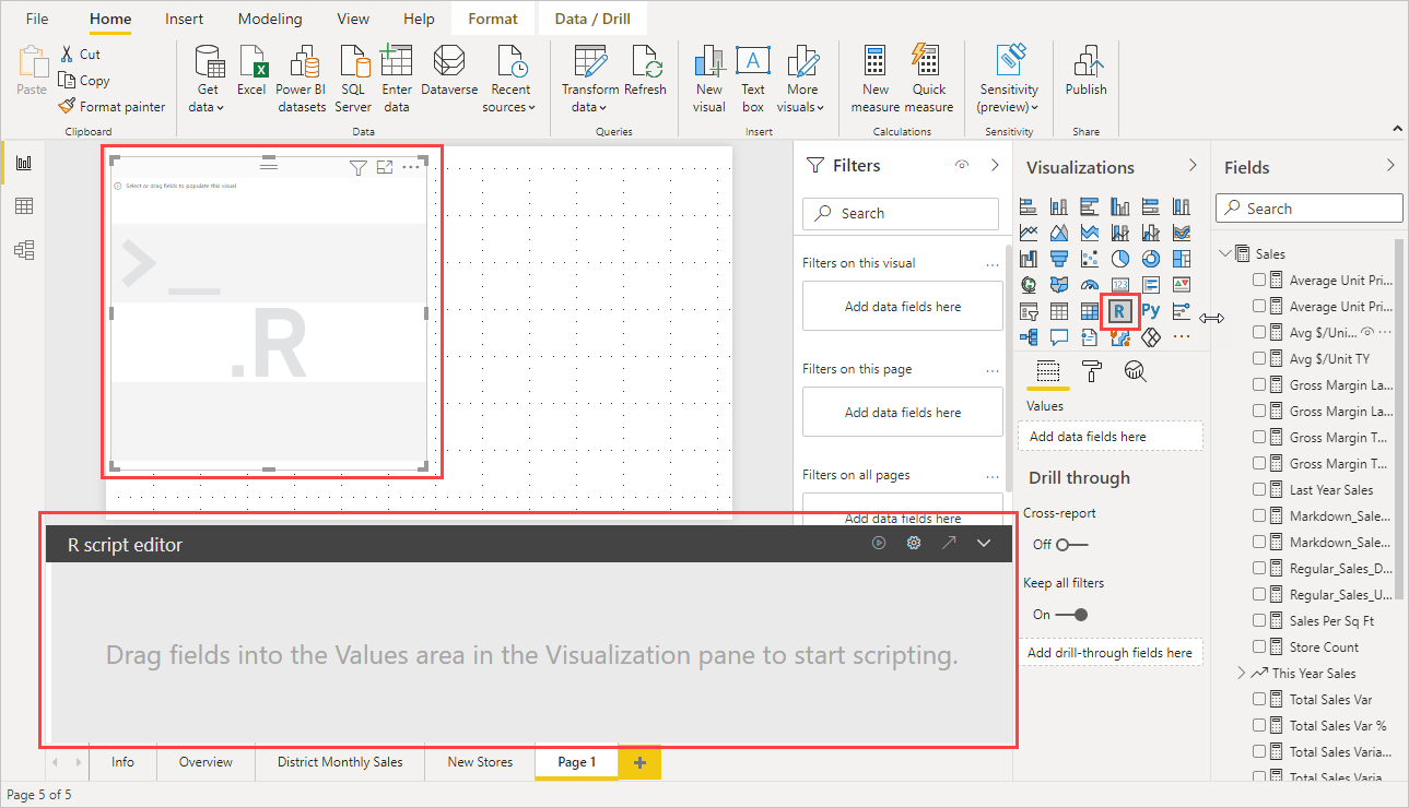 Screenshot of the Visualization pane, showing a blank R visual.