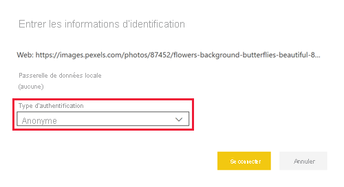 Screenshot shows the Enter credentials dialog box where you can specify the kind of authentication.