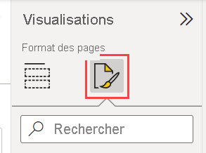 Capture d’écran de l’onglet Format dans le volet Visualisations.