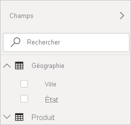 Capture d’écran de Power BI Desktop montrant le filtre Geography dans la vue Champs.