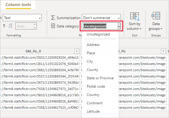 Capture d’écran de Power BI Desktop montrant le filtre Catégorie de données.