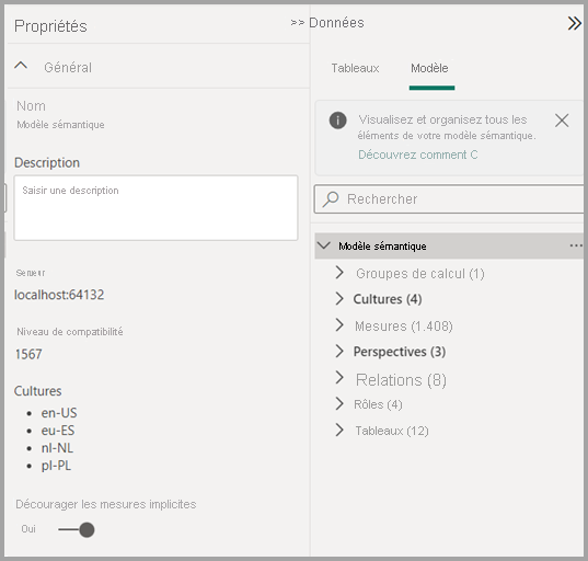 Capture d’écran des informations de modèle sémantique dans l’Explorateur de modèles.