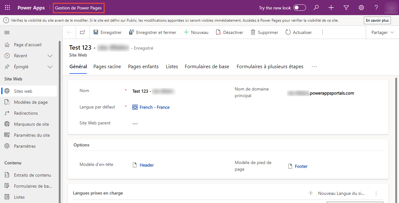 Capture d’écran de l’application Gestion de Power Pages.