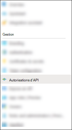 Sélectionnez Autorisations d’API dans la page Manifeste.