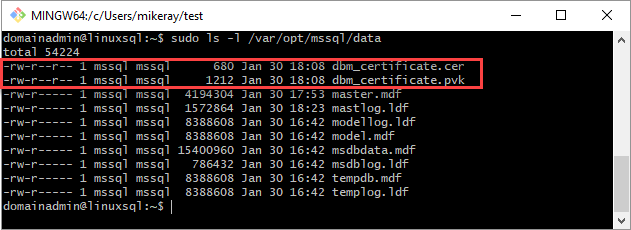 Capture d’écran d’une fenêtre Git Bash montrant .cer et .pvk dans le dossier /var/opt/mssql/data.