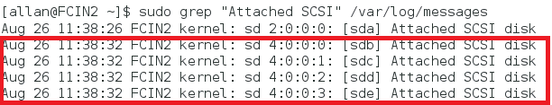 Capture d’écran de la commande grep et de la réponse à la commande montrant les disques SCSI attachés.