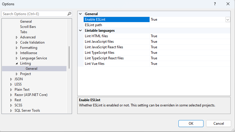 Capture d’écran de la page Options des outils de linting.