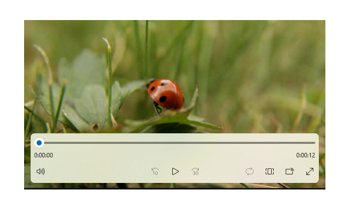 Capture d’écran d’un élément de lecteur multimédia avec contrôles de transport jouant une vidéo d’une ladybug