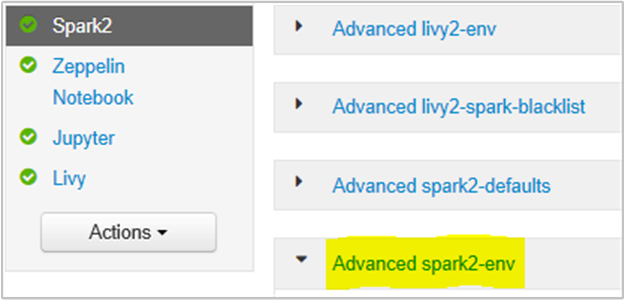 Section Advanced spark2-env.