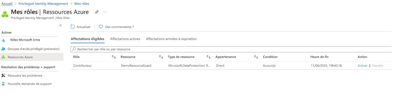 Capture d’écran montrant comment activer les attributions éligibles.