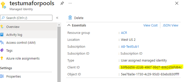 Capture d’écran montrant l’ID client d’une identité managée affectée par l’utilisateur dans le Portail Azure.