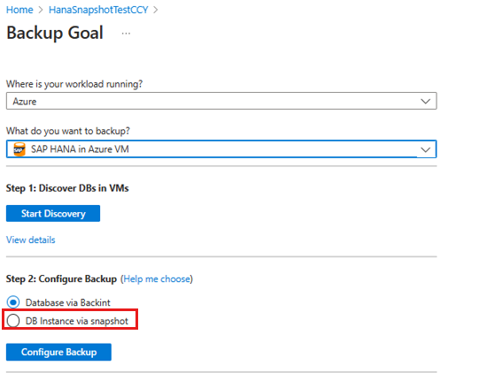 Capture d’écran montrant l’option « Instance de base de données via instantané ».