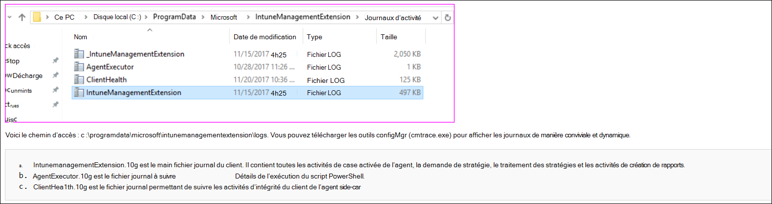 Capture d’écran ou exemples de journaux de l’agent cmtrace dans Microsoft Intune