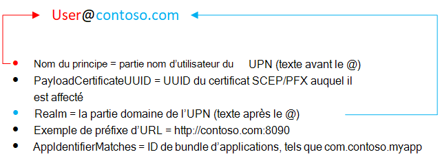 Attribut d’authentification unique de nom d’utilisateur iOS/iPadOS dans Microsoft Intune