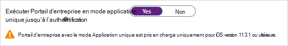 Capture d’écran montrant l’option Exécuter le portail d’entreprise en mode Application unique.