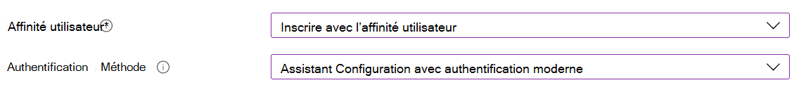 Dans le centre d’administration Intune et Microsoft Intune, inscrivez des appareils iOS/iPadOS à l’aide de l’inscription automatisée des appareils (ADE). Sélectionnez Inscrire avec l’affinité utilisateur, puis utilisez l’Assistant Configuration pour l’authentification. L’application Portail d'entreprise s’installe automatiquement.