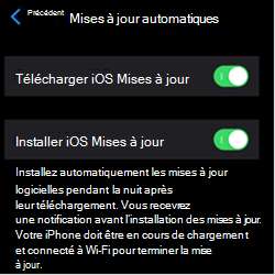 Capture d’écran montrant les paramètres de mise à jour automatique sur les appareils Apple iOS/iPadOS.