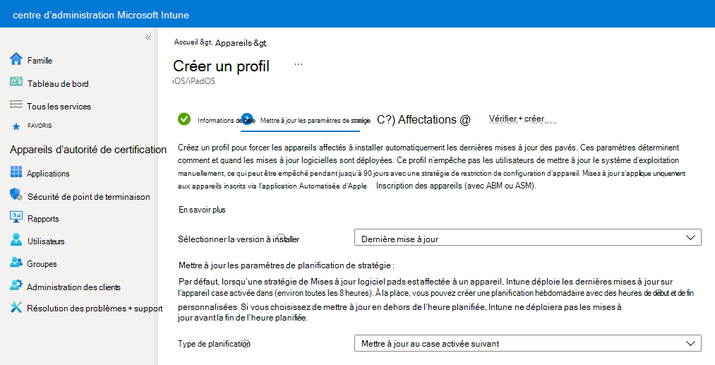 Capture d’écran montrant des exemples de paramètres de stratégie de mise à jour logicielle dans Microsoft Intune.