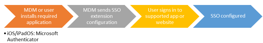 Organigramme de l’utilisateur final lors de l’installation de l’extension d’application SSO sur des appareils iOS/iPadOS.