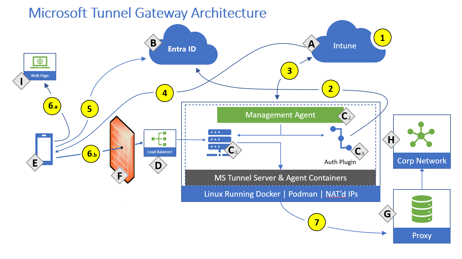 Dessin de l’architecture de Microsoft Tunnel Gateway