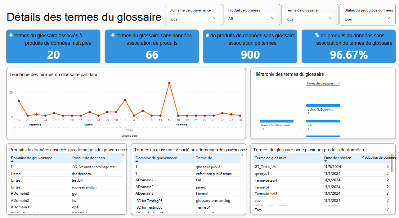 Capture d’écran du rapport sur les termes du glossaire.