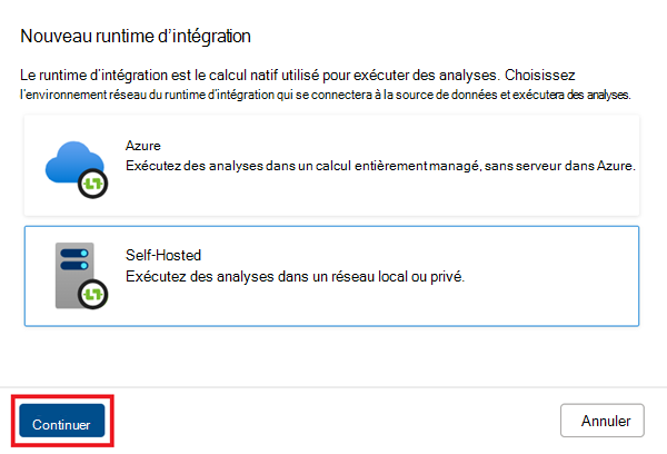 Capture d’écran de la nouvelle fenêtre du runtime d’intégration, avec auto-hébergé sélectionné.