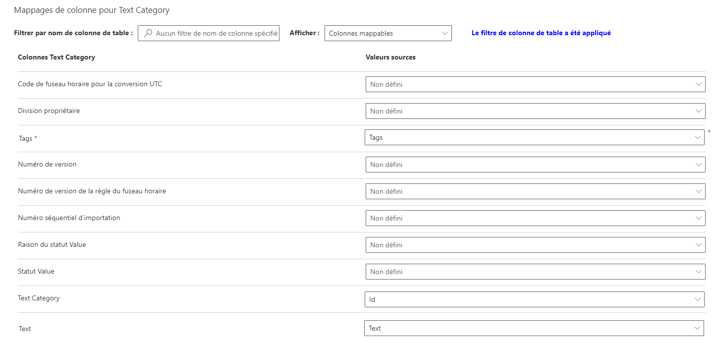 Capture d’écran montrant les mappages de colonnes pour la catégorie de texte.