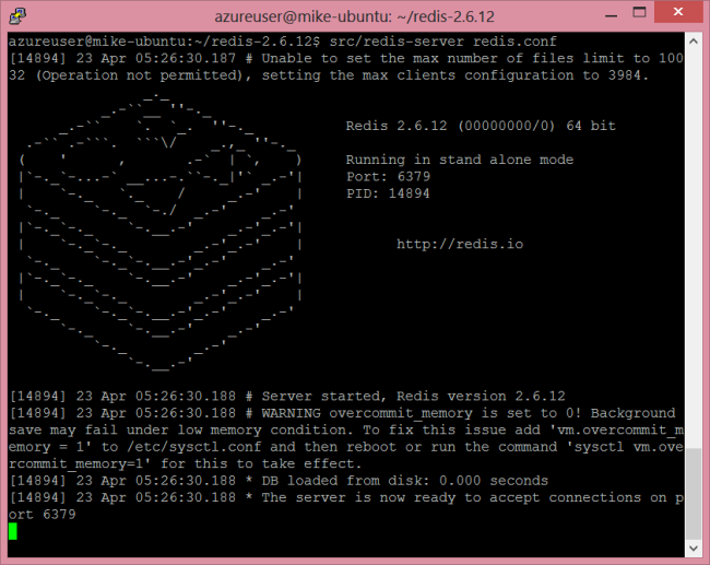 Capture d’écran montrant la page main du serveur Redis.