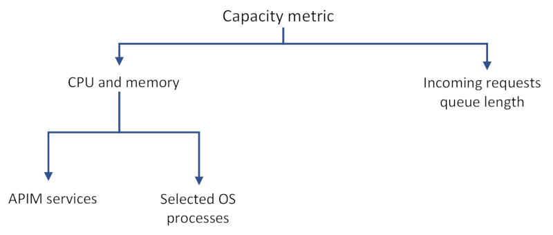 Diagramme expliquant la métrique Capacité.