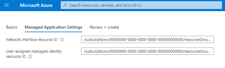 Capture d’écran d’un exemple de fichier createUiDefinition.json qui nécessite deux entrées : un ID de ressource d’interface réseau et un ID de ressource d’identité managée attribuée par l’utilisateur.