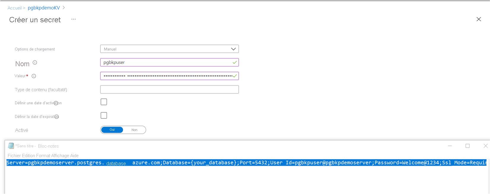 Capture d’écran montrant l’option permettant de créer un secret à l’aide d’une chaîne de connexion de serveur PG.